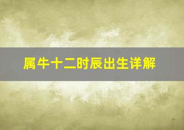 属牛十二时辰出生详解