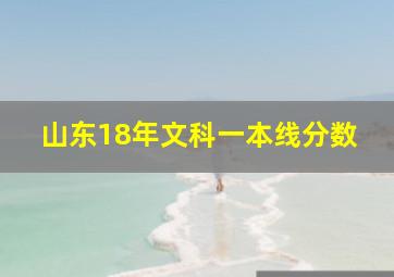 山东18年文科一本线分数