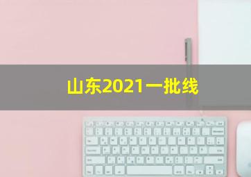 山东2021一批线