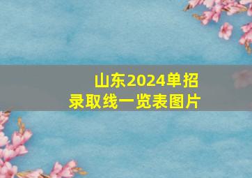 山东2024单招录取线一览表图片