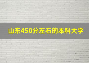 山东450分左右的本科大学