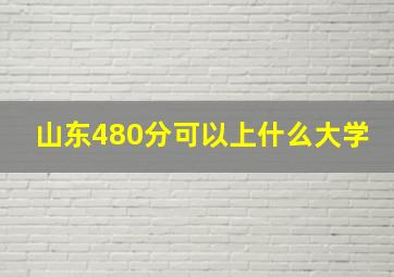 山东480分可以上什么大学