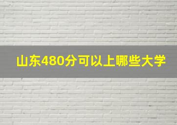 山东480分可以上哪些大学