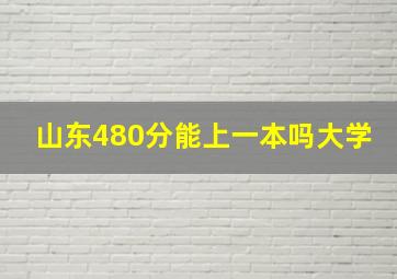 山东480分能上一本吗大学