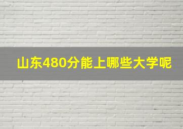 山东480分能上哪些大学呢