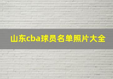 山东cba球员名单照片大全