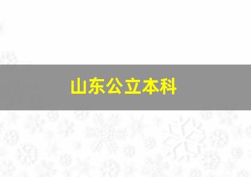 山东公立本科