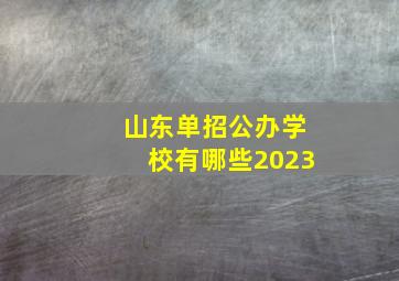 山东单招公办学校有哪些2023