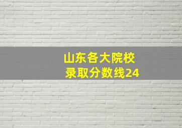 山东各大院校录取分数线24