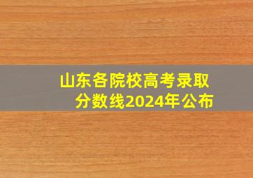 山东各院校高考录取分数线2024年公布