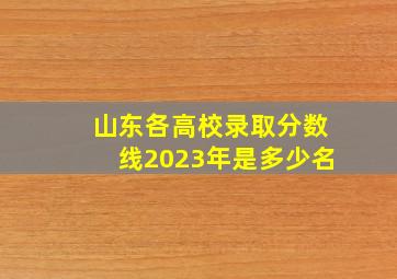 山东各高校录取分数线2023年是多少名