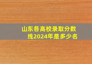 山东各高校录取分数线2024年是多少名