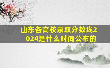 山东各高校录取分数线2024是什么时间公布的