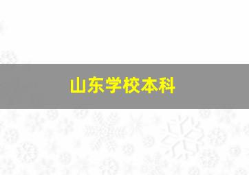 山东学校本科