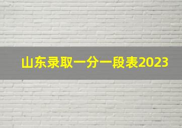 山东录取一分一段表2023