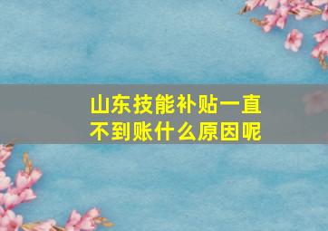 山东技能补贴一直不到账什么原因呢