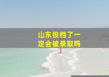 山东投档了一定会被录取吗