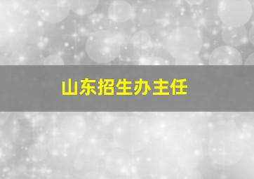 山东招生办主任