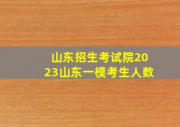 山东招生考试院2023山东一模考生人数