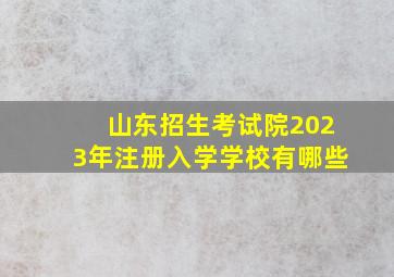 山东招生考试院2023年注册入学学校有哪些