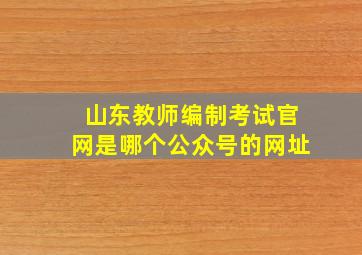 山东教师编制考试官网是哪个公众号的网址