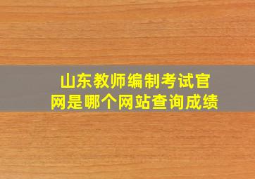 山东教师编制考试官网是哪个网站查询成绩