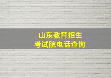 山东教育招生考试院电话查询