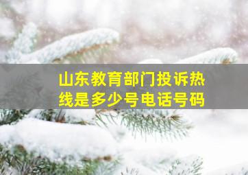 山东教育部门投诉热线是多少号电话号码