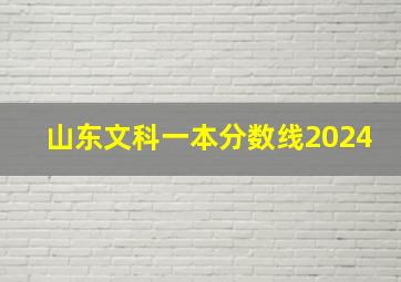 山东文科一本分数线2024