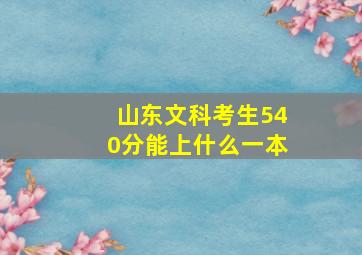 山东文科考生540分能上什么一本