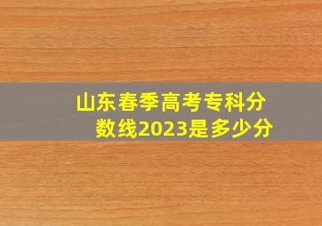 山东春季高考专科分数线2023是多少分