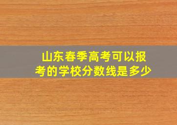 山东春季高考可以报考的学校分数线是多少