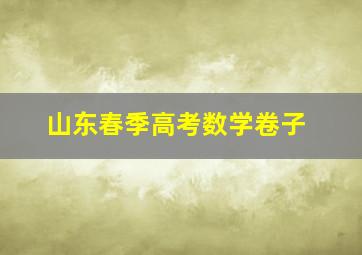 山东春季高考数学卷子