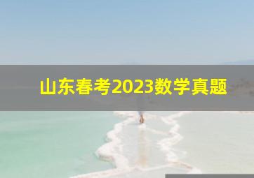 山东春考2023数学真题