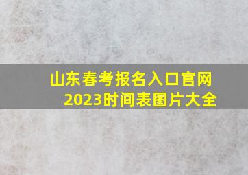 山东春考报名入口官网2023时间表图片大全