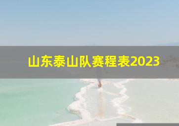 山东泰山队赛程表2023