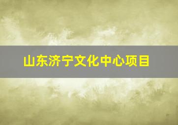 山东济宁文化中心项目