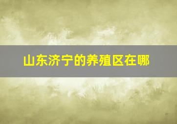 山东济宁的养殖区在哪