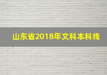 山东省2018年文科本科线