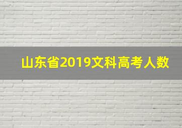 山东省2019文科高考人数