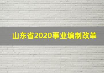 山东省2020事业编制改革