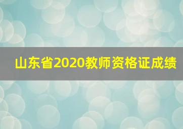 山东省2020教师资格证成绩