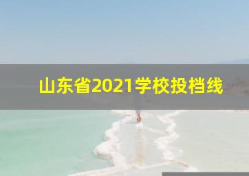 山东省2021学校投档线