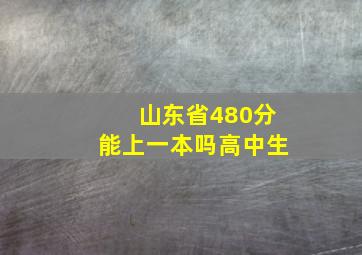 山东省480分能上一本吗高中生