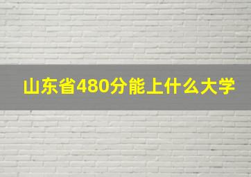 山东省480分能上什么大学