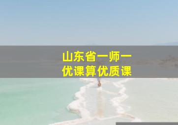 山东省一师一优课算优质课