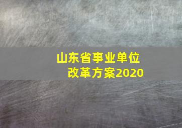 山东省事业单位改革方案2020