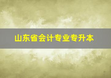 山东省会计专业专升本