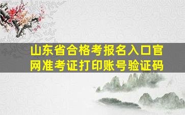 山东省合格考报名入口官网准考证打印账号验证码