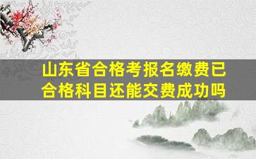 山东省合格考报名缴费已合格科目还能交费成功吗